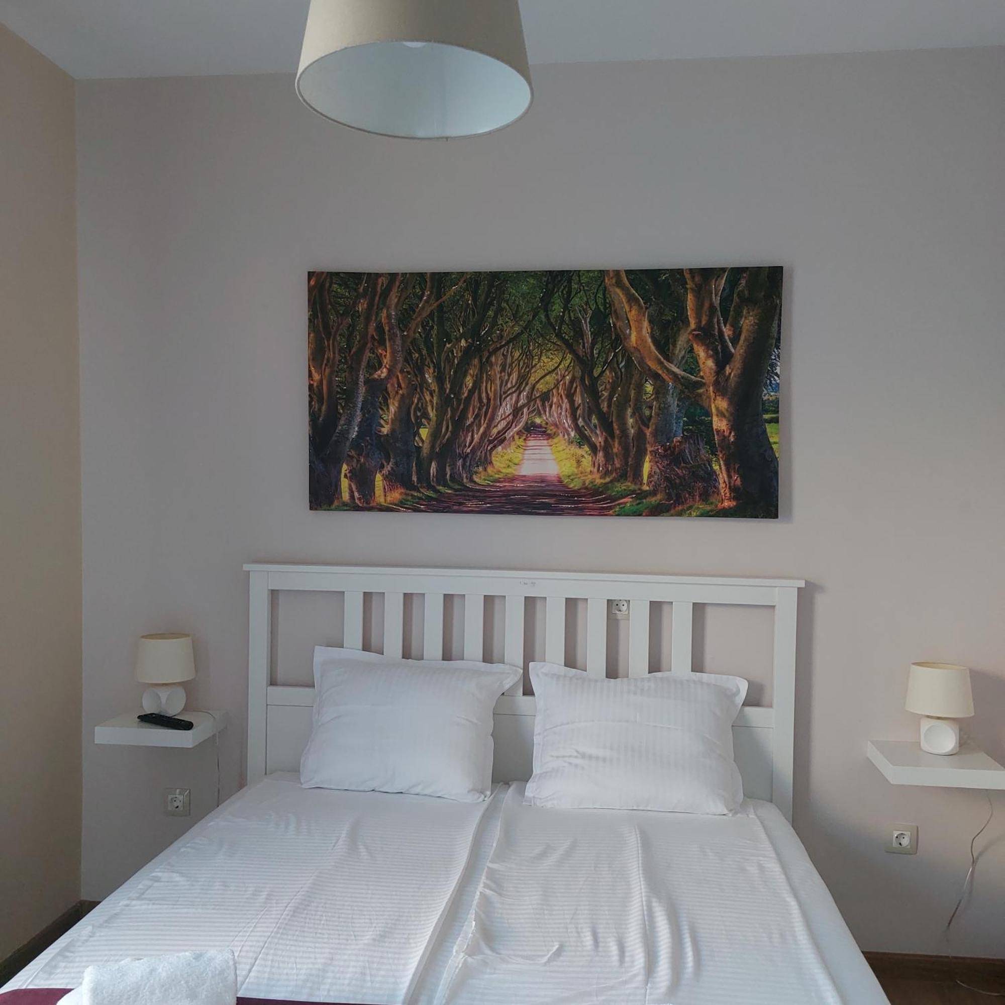 Stella Guesthouse サパレヴァ・バニャ 部屋 写真